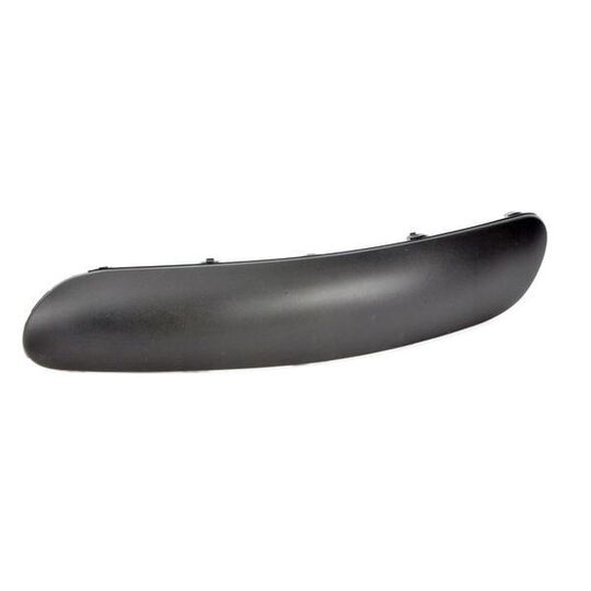 6502-07-0519923P Trim/Protective Strip, bumper