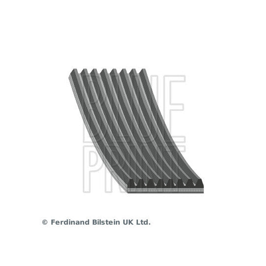 AD08R2512 V-Ribbed Belt