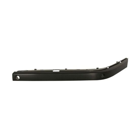 5703-05-0075921P Trim/Protective Strip, bumper