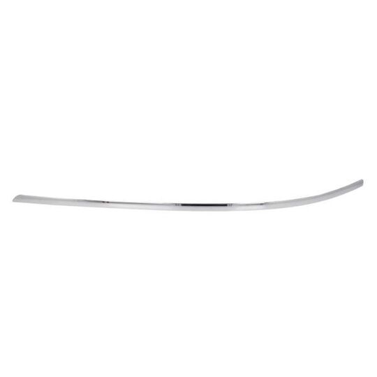 5703-05-3506923P Trim/Protective Strip, bumper