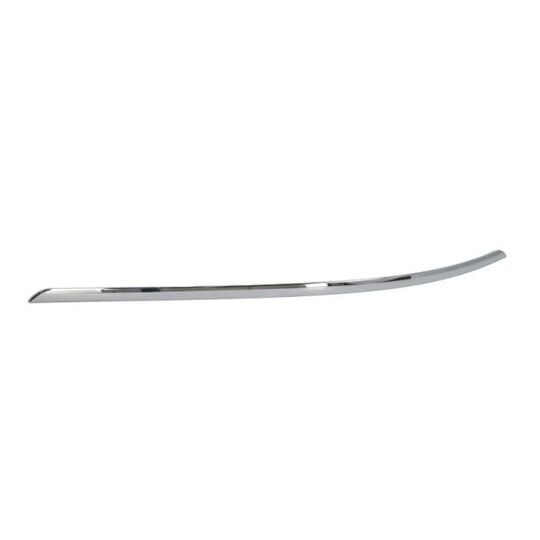 5703-05-3509971P Trim/Protective Strip, bumper