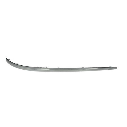 5703-05-3508921P Trim/Protective Strip, bumper