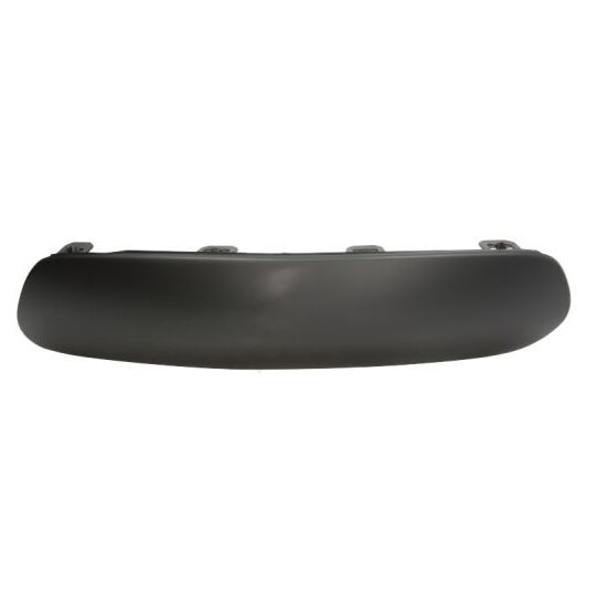 6502-07-0519925P Trim/Protective Strip, bumper
