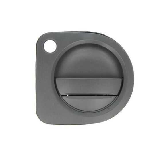 6010-09-065401P Door Handle