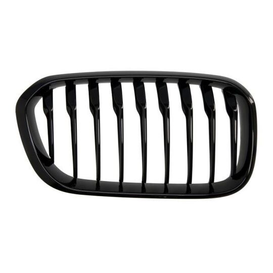 6502-07-0086998P Radiator Grille