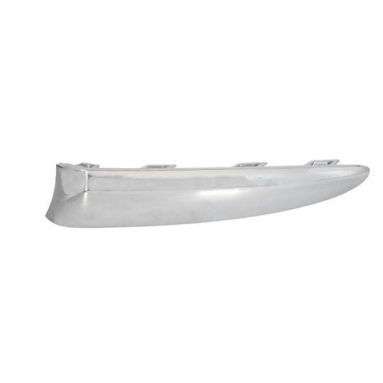 5703-05-2013927P Trim/Protective Strip, bumper