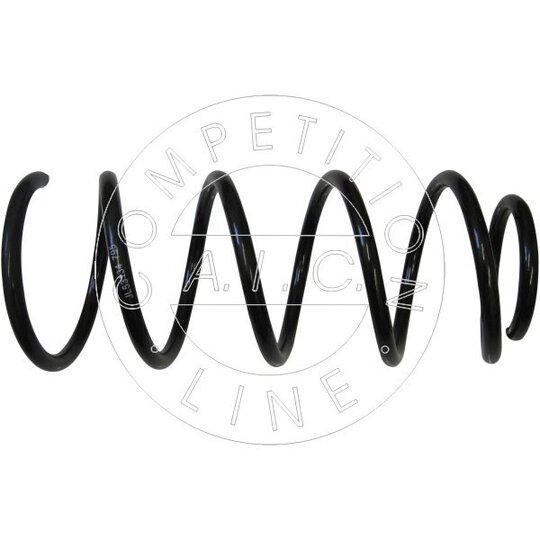 53134 Coil Spring