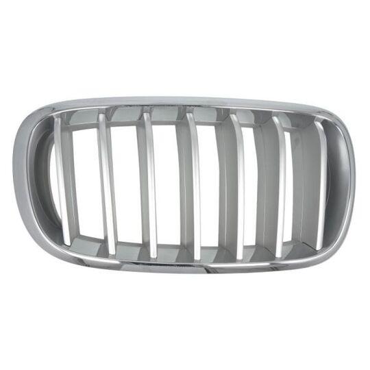 6502-07-00969966P Radiator Grille