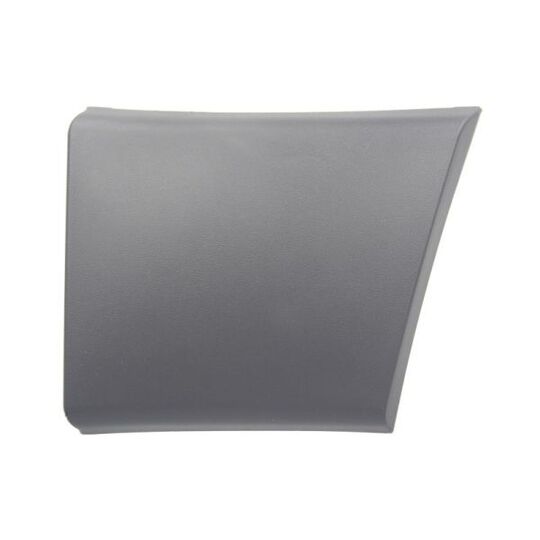 5703-04-2097573P Trim/Protective Strip, sidewall