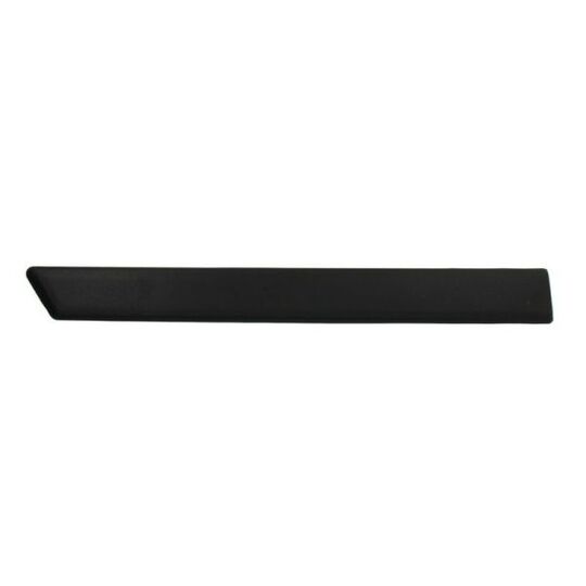 5703-04-2564474P Trim/Protective Strip, mudguard