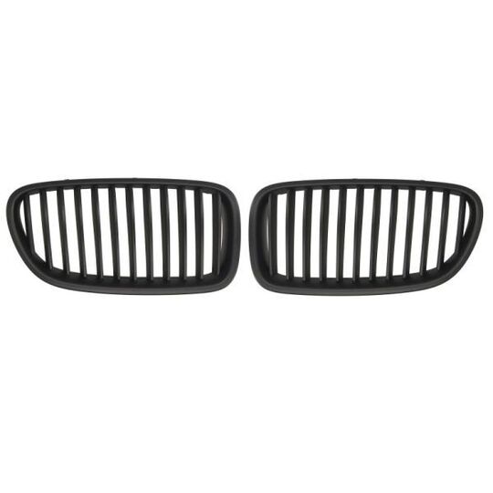 6502-07-0067991KP Radiator Grille