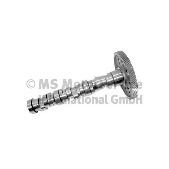 20100350101 Camshaft