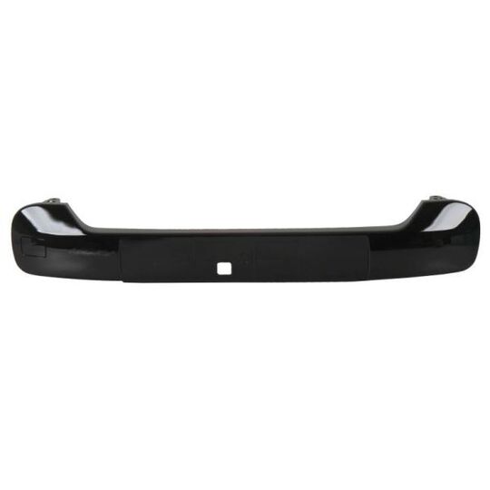 6502-07-5508916Q Trim/Protective Strip, bumper