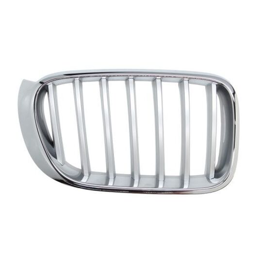 6502-07-00939966P Radiator Grille