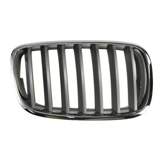 6502-07-0096992PP Radiator Grille