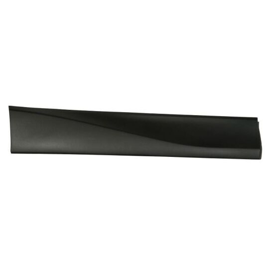 5703-02-6738494P Trim/Protective Strip, door