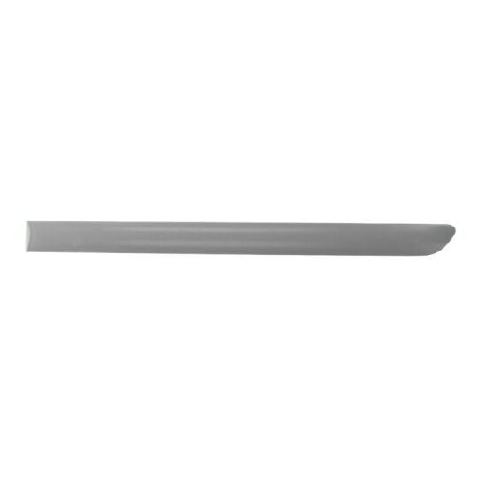 5703-04-9524577P Trim/Protective Strip, door