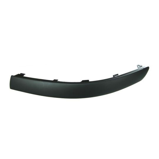 5703-05-9539927P Trim/Protective Strip, bumper