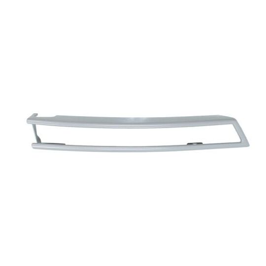 5703-05-9540922P Trim/Protective Strip, bumper