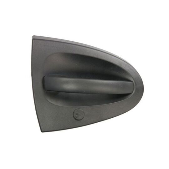 6010-02-004402P Door Handle