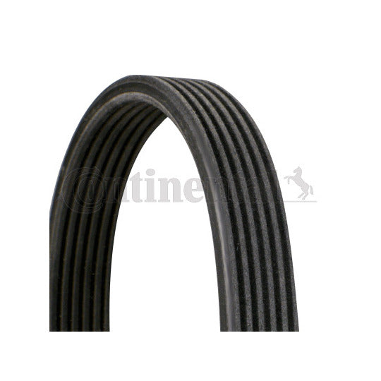 6DPK1215 V-Ribbed Belt