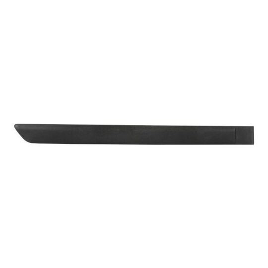 9999-43-008444P Trim/Protective Strip, door