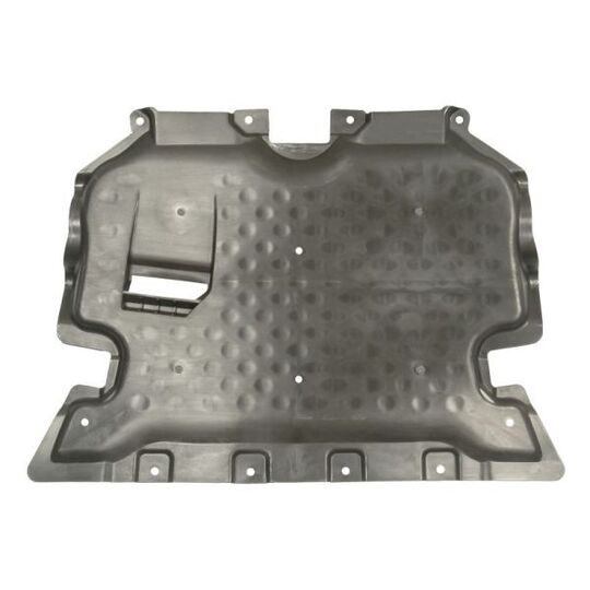 6601-02-3521861P Engine Cover