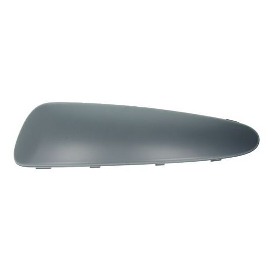 5513-00-8101921P Trim/Protective Strip, bumper