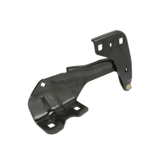 6802-00-2598451P Hinge, bonnet
