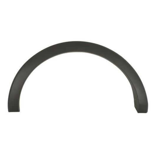 6601-02-2518425P Trim/Protective Strip, wing