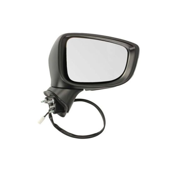 5402-14-2001704P Outside Mirror