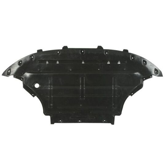 6601-02-0035861P Engine Guard/Skid Plate