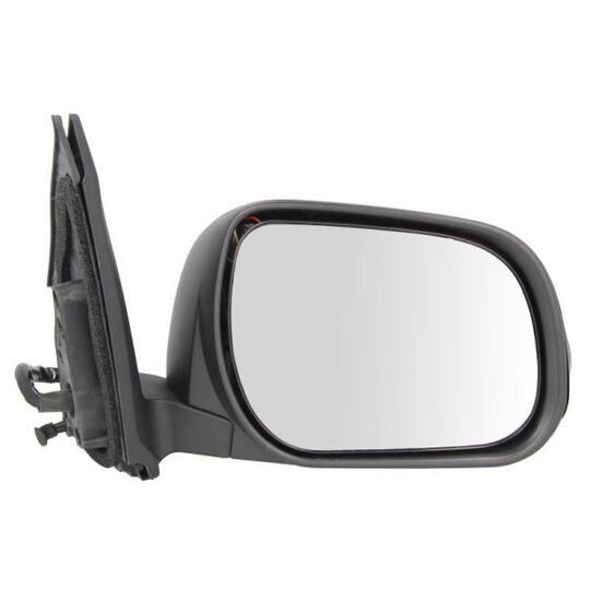 5402-19-2002530P Outside Mirror