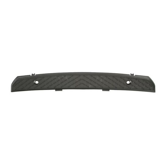 6509-01-3547920P Trim/Protective Strip, bumper