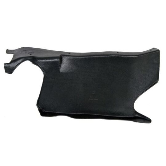 6601-02-0020872P Engine Cover