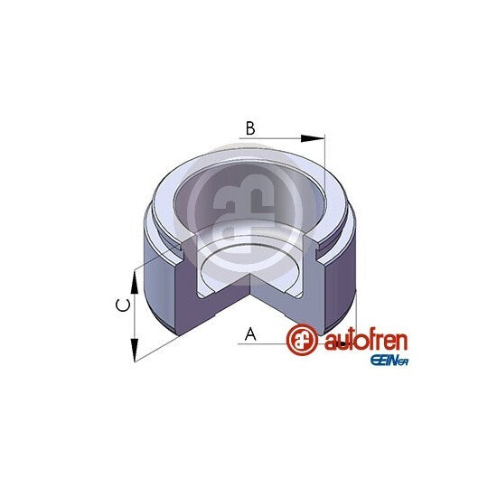 D025489 Piston, brake caliper