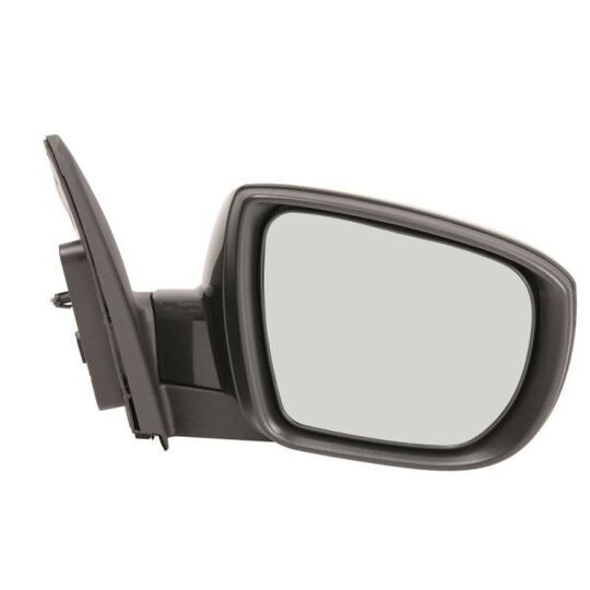 5402-04-1502200P Outside Mirror