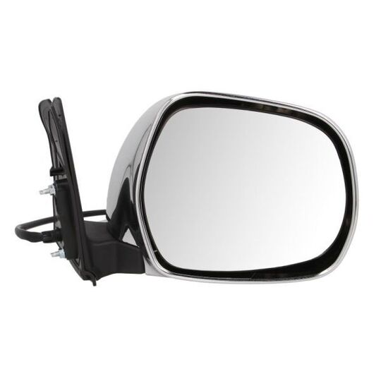 5402-19-2002504P Outside Mirror