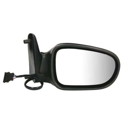 5402-04-1121131P Outside Mirror