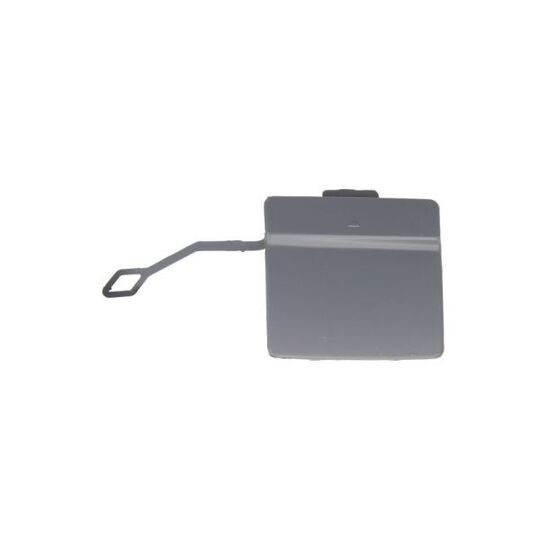 5513-00-0063971P Trim/Protective Strip, bumper