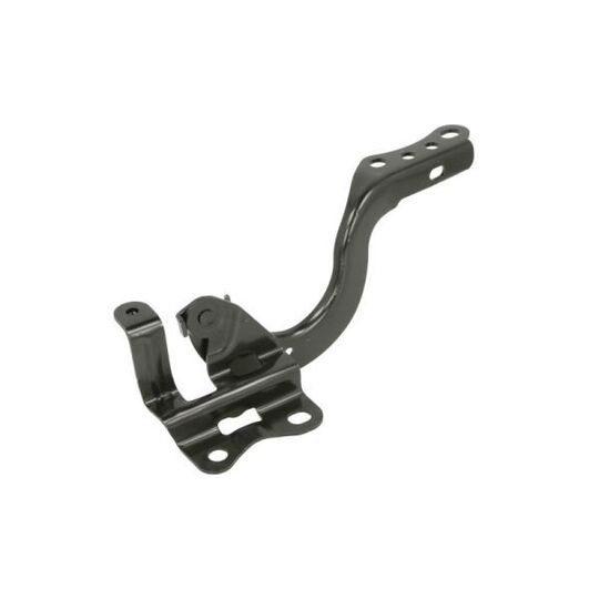6802-00-8119452P Hinge, bonnet