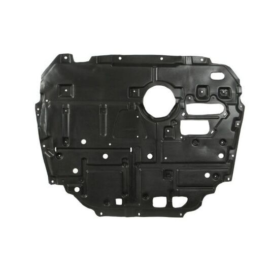 6601-02-8197860P Engine Guard/Skid Plate