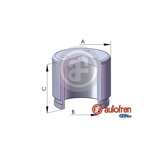 D025500 Piston, brake caliper