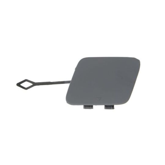 5513-00-0078970P Flap, tow hook