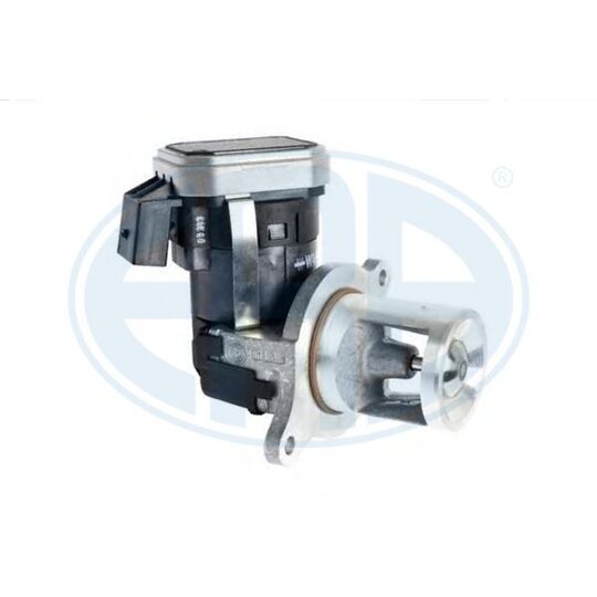 555252 EGR Valve