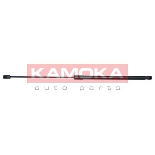 7091112 Gas Spring, bonnet
