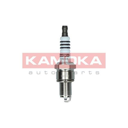 7090520 Spark Plug