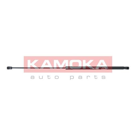 7091103 Gas Spring, bonnet