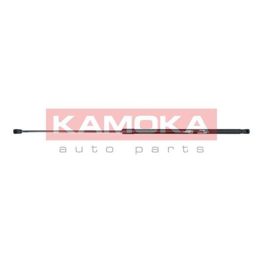 7091089 Gas Spring, bonnet