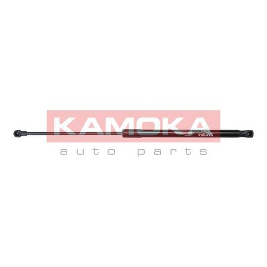 7091070 Gas Spring, bonnet